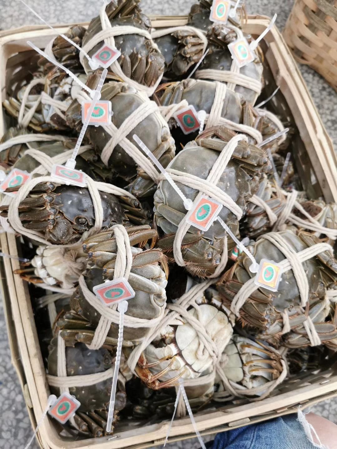 WhatsApp-Image-2025-09-05-at-10.37.04-PM