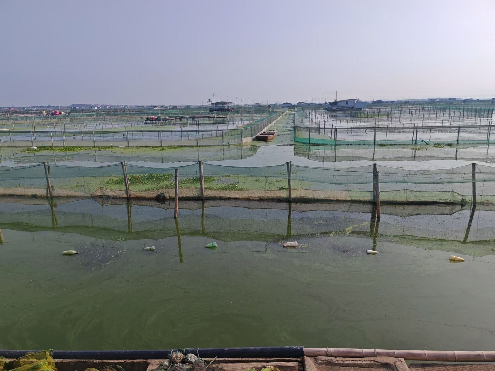 WhatsApp-Image-2025-09-05-at-10.37.44-PM-1